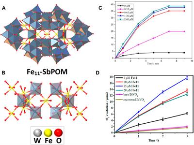 Bioinspired polyoxometalates as light-driven water oxidation catalysts